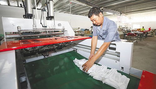 禁塑 進(jìn)行時(shí),海南推動替代品生產(chǎn)有序發(fā)展