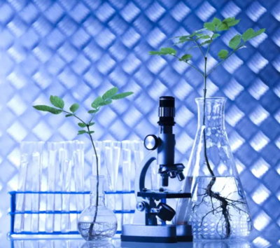 三農日報|政策:鼓勵資本助推生態循環農業;農村新電商模式正成為趨勢