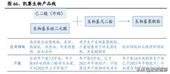 2022年合成生物學行業深度報告 產品開發兩大流程、技術發展及產業生態等專題分析