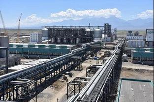 凱賽創新型生物基聚酰胺為下游企業帶來更多解決方案