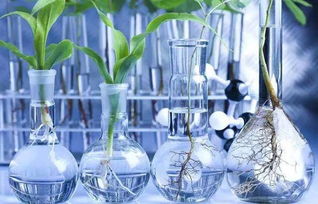 無處不在的化學 生物基材料技術研發的機遇與挑戰