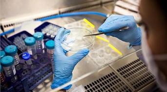 健康產(chǎn)業(yè)新機遇 生物基材料技術(shù)的創(chuàng)新與突破